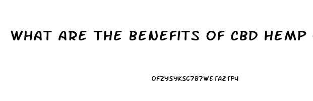 What Are The Benefits Of Cbd Hemp Oil