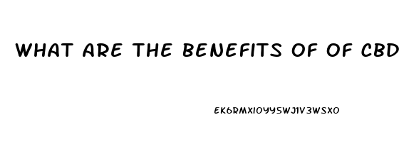 What Are The Benefits Of Of Cbd Oil And Lavender