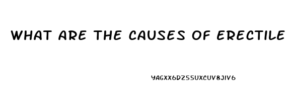 What Are The Causes Of Erectile Dysfunction