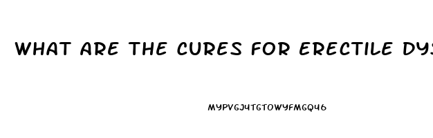 What Are The Cures For Erectile Dysfunction