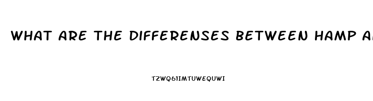 What Are The Differenses Between Hamp And Cbd Oil