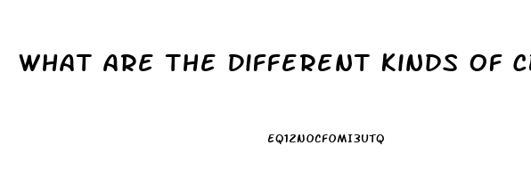 What Are The Different Kinds Of Cbd Oil