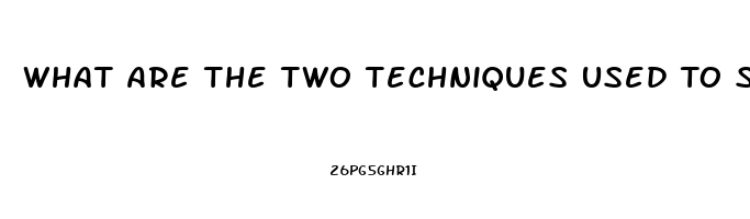 What Are The Two Techniques Used To Study Hypothalamic Dysfunction