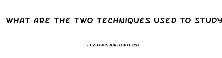 What Are The Two Techniques Used To Study Hypothalamic Dysfunction