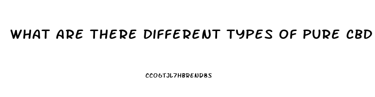 What Are There Different Types Of Pure Cbd Oil