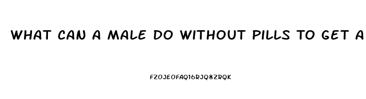 What Can A Male Do Without Pills To Get A Better Erection For Sex