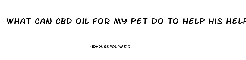 What Can Cbd Oil For My Pet Do To Help His Help