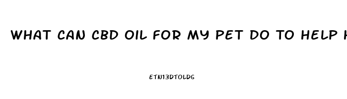 What Can Cbd Oil For My Pet Do To Help His Help