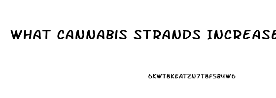 What Cannabis Strands Increase Sex Drive