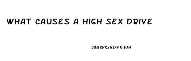 What Causes A High Sex Drive