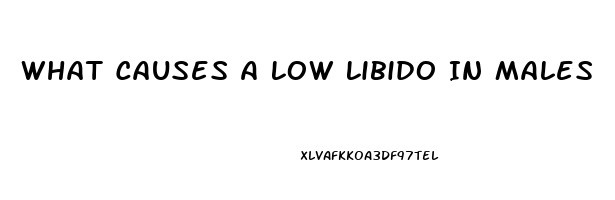 What Causes A Low Libido In Males