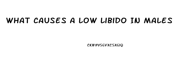 What Causes A Low Libido In Males