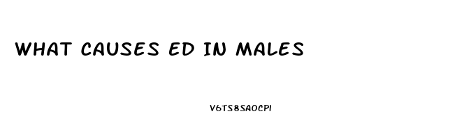 What Causes Ed In Males