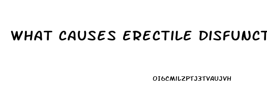 What Causes Erectile Disfunction