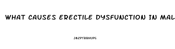 What Causes Erectile Dysfunction In Males