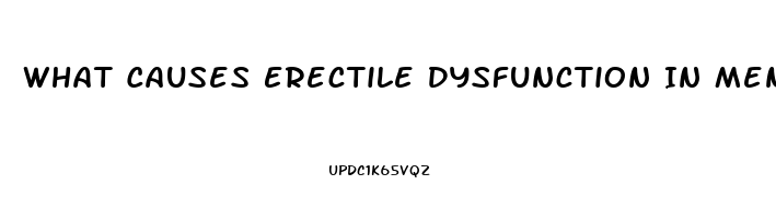 What Causes Erectile Dysfunction In Men