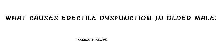 What Causes Erectile Dysfunction In Older Males