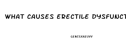 What Causes Erectile Dysfunction Problems