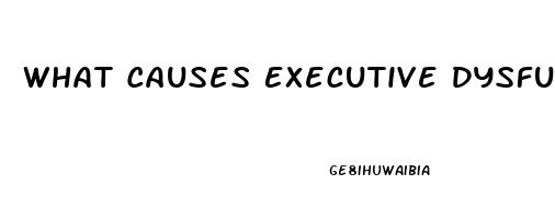 What Causes Executive Dysfunction
