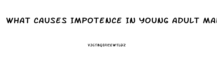 What Causes Impotence In Young Adult Males