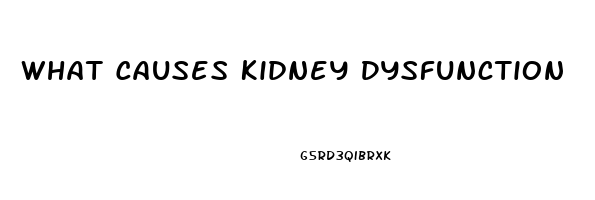 What Causes Kidney Dysfunction