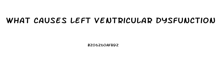 What Causes Left Ventricular Dysfunction