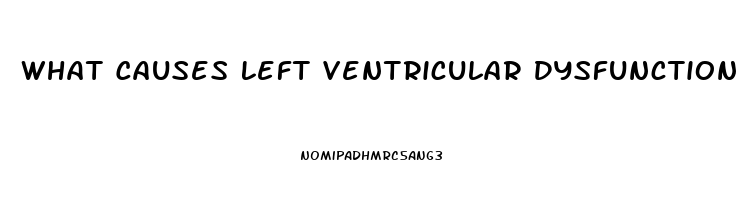 What Causes Left Ventricular Dysfunction