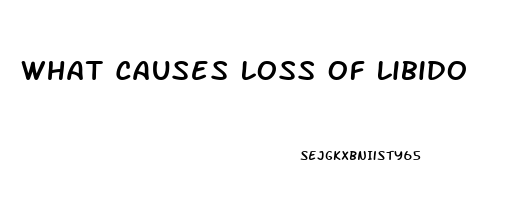 What Causes Loss Of Libido