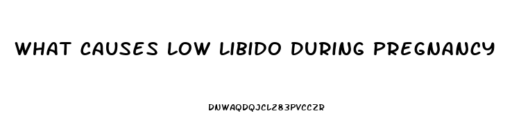 What Causes Low Libido During Pregnancy