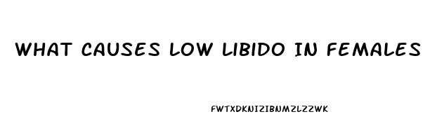 What Causes Low Libido In Females