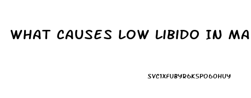 What Causes Low Libido In Males