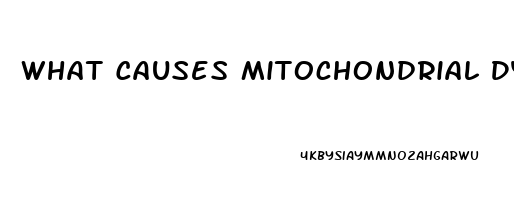 What Causes Mitochondrial Dysfunction