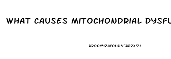 What Causes Mitochondrial Dysfunction