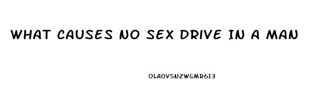 What Causes No Sex Drive In A Man