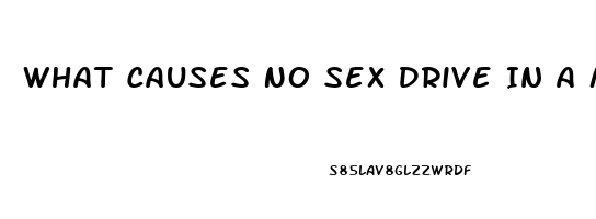 What Causes No Sex Drive In A Man