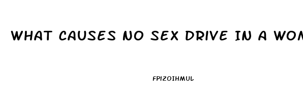 What Causes No Sex Drive In A Woman