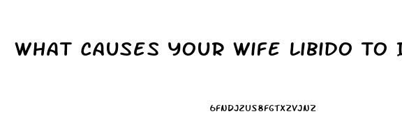 What Causes Your Wife Libido To Increase