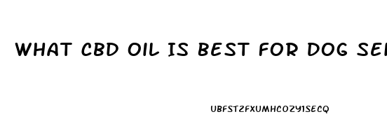 What Cbd Oil Is Best For Dog Seizures