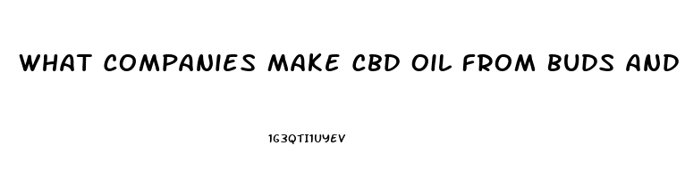 What Companies Make Cbd Oil From Buds And Not Hemp Seed