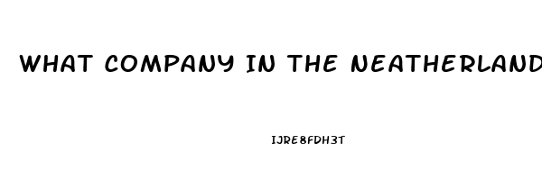 What Company In The Neatherlands Is Producing Cbd Oil That Contains No Thc