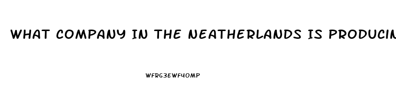 What Company In The Neatherlands Is Producing Cbd Oil That Contains No Thc