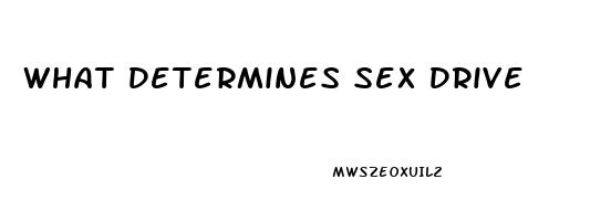 What Determines Sex Drive