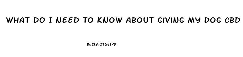 What Do I Need To Know About Giving My Dog Cbd Oil For Cancer