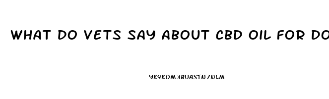 What Do Vets Say About Cbd Oil For Dogs