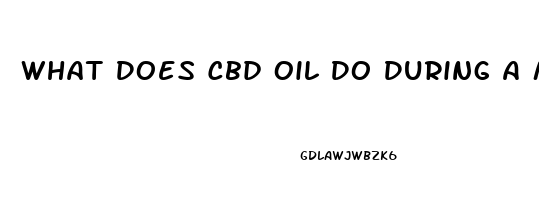 What Does Cbd Oil Do During A Massage