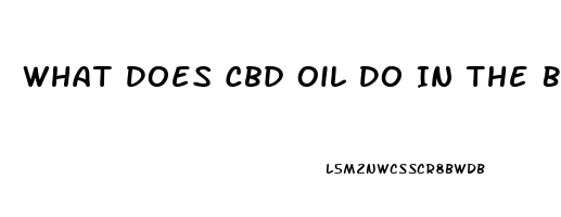 What Does Cbd Oil Do In The Body