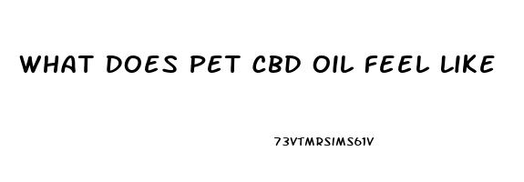 What Does Pet Cbd Oil Feel Like