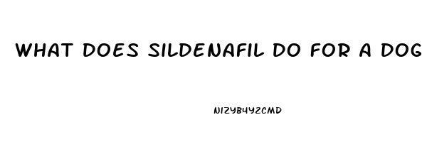 What Does Sildenafil Do For A Dog