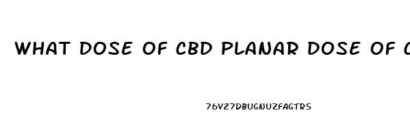 What Dose Of Cbd Planar Dose Of Cbd Oil Recommended