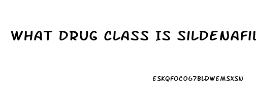 What Drug Class Is Sildenafil